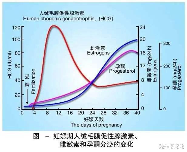 别总盯着孕吐,吐得再厉害也不是怀孕的标配 - 育儿资讯(主打网)