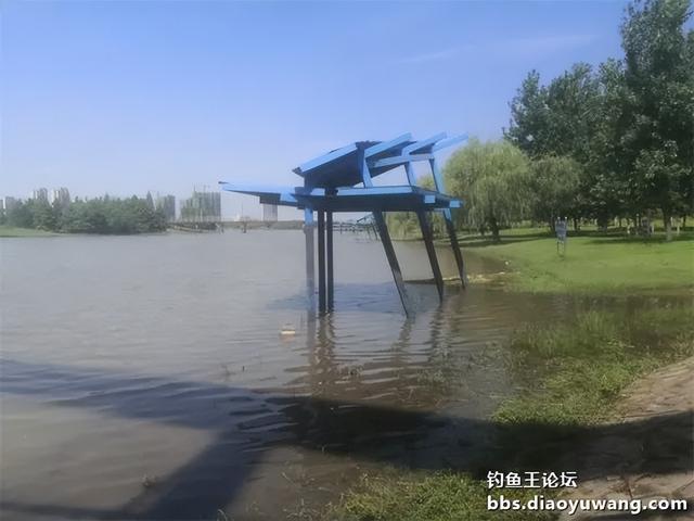 有心栽花,无心插柳