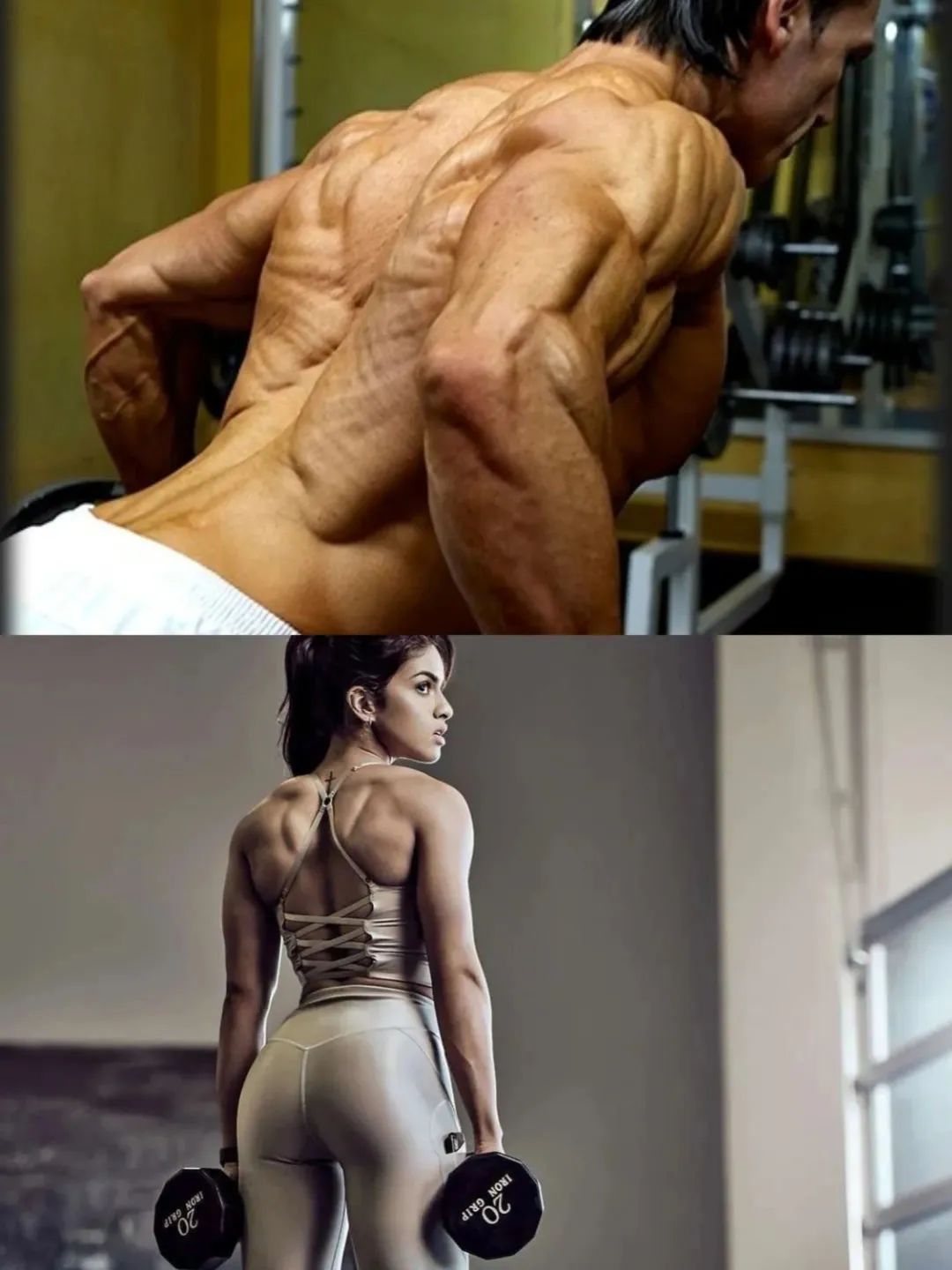 哑铃|练哪些肌肉,可以使身材变得挺拔?