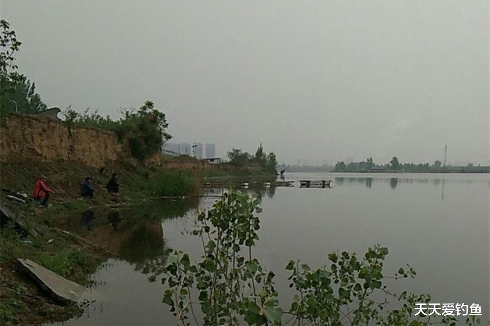 暴雨|夏季雨天能爆护?记住也有4不钓,不是下雨鱼口都好