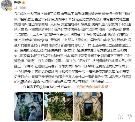 梅婷|梅婷罕与老公秀恩爱，素颜露双下巴仍自信，别墅外墙爬满藤蔓好美