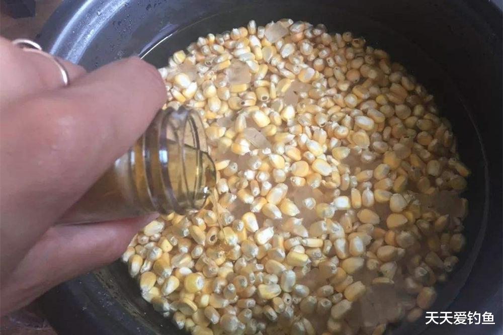野钓大草鱼，3种奇效布窝方法，聚鱼快速留鱼持久