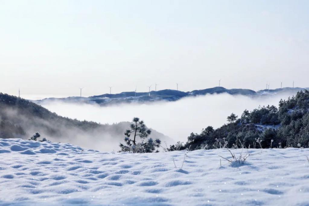 (海拉雪景 王成 摄)在农作物生产方面,威宁农业农村局相关负责人介绍