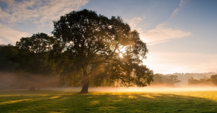 导游|近期职场的一些思考,或许对你有帮助