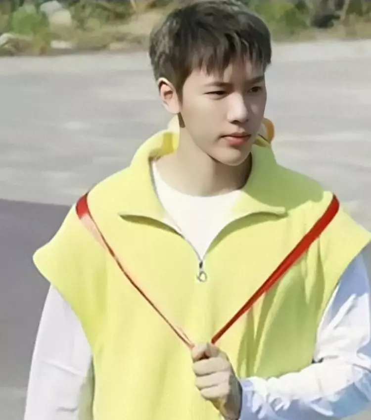 明星|出道后去“动脸”,“换了头”还称纯天然,这些明星不羞吗?