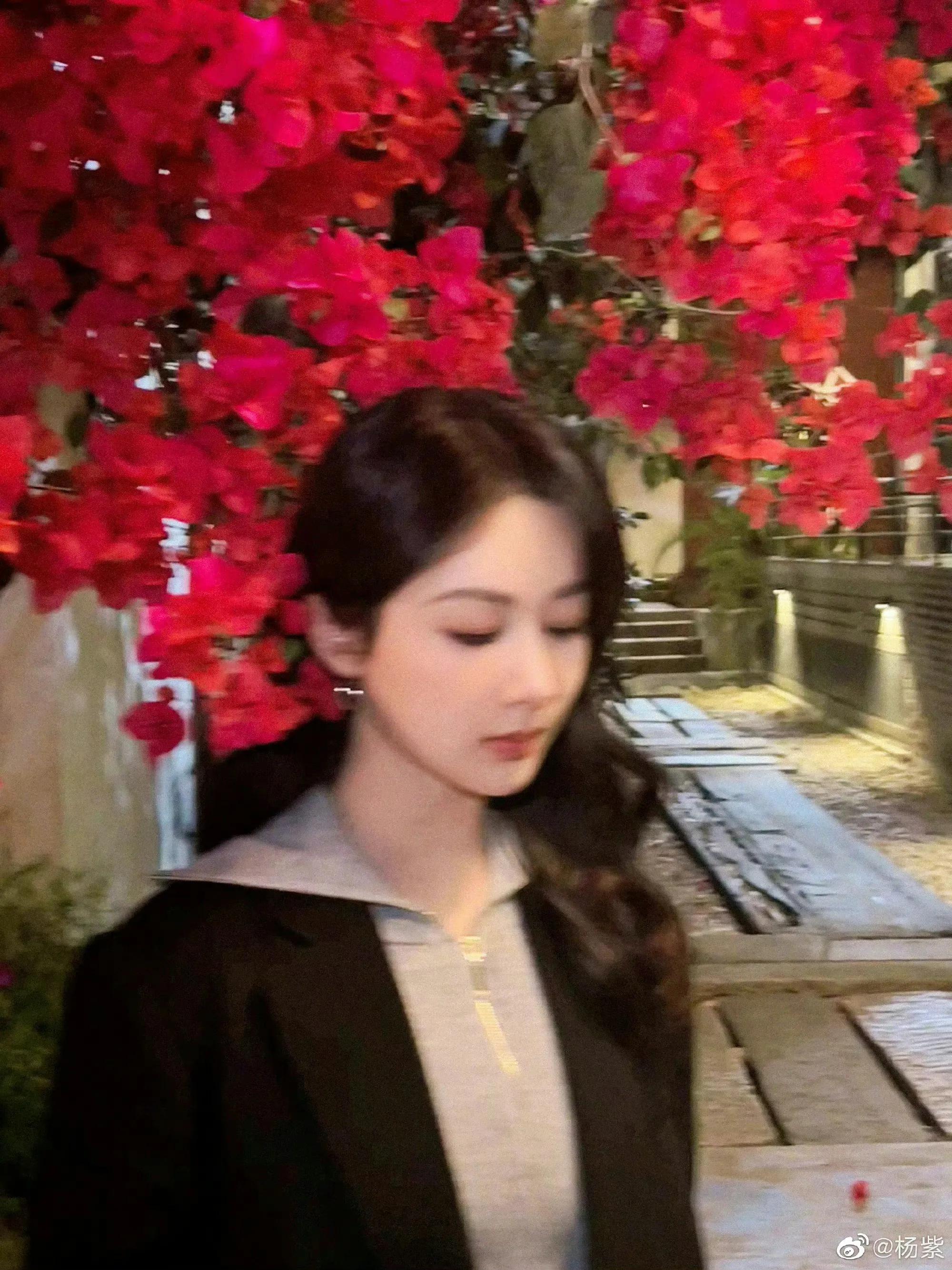 空腹 杨紫直播造型翻车，发型老土，蓝色西服显老好村，像乡村女干部