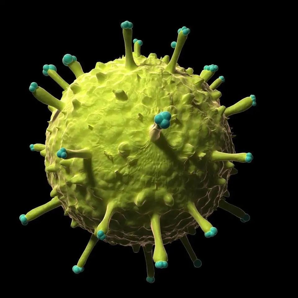 病毒都有哪些种类? - 科技资讯(主打网)