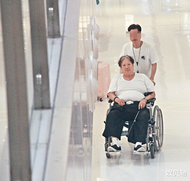 贾玲逆袭成女神,胖子明星被催减肥,韩红有苦衷,沈腾有望变男神