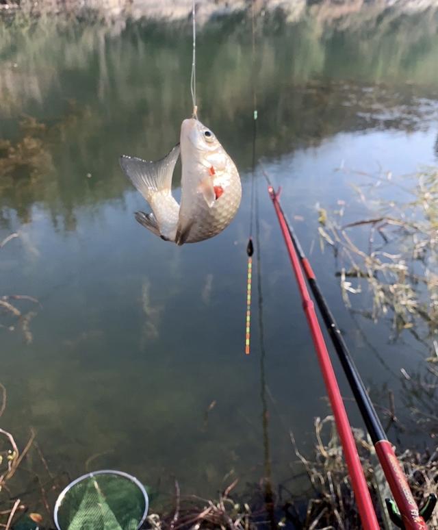 快乐|未雨绸缪做好预判，渔获如期而至