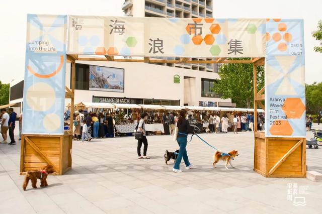 |阿那亚海浪电影周|抱紧电影,一起坠入深海