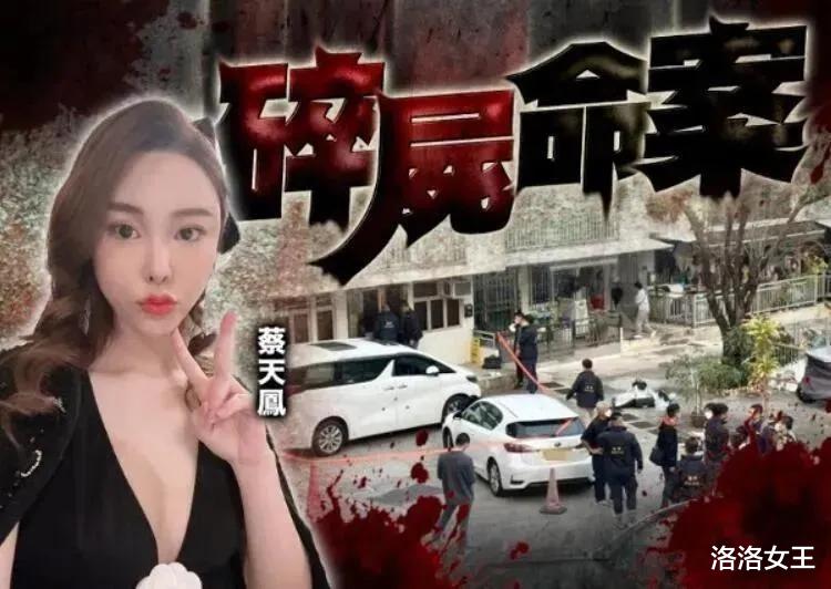 阿黛尔|大反转!港媒曝蔡天凤是形婚,两任丈夫均是gay,且系恋人关系