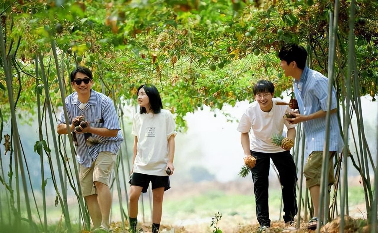 黄磊|黄磊《向往的生活》谈自己录制综艺太多了,要磨炼演技了吗?