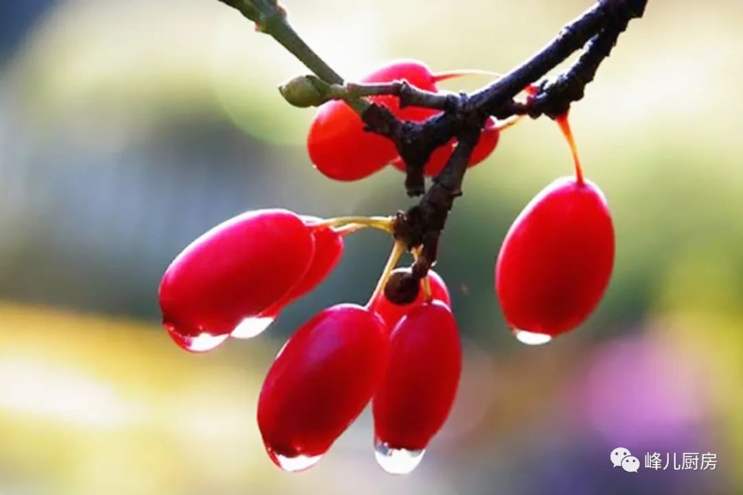 重阳节|10月23日重阳节,“吃3样,做2事,忌1事”传统习俗不能丢,平安幸福