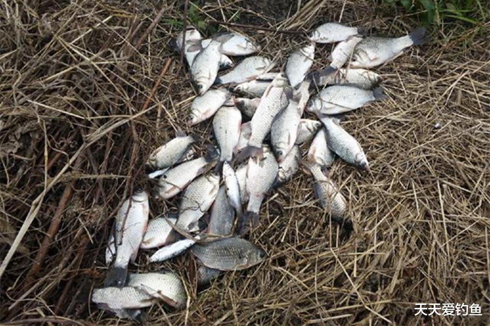 数九寒冬野钓,钓法一定要变通,这3种方法效果不错