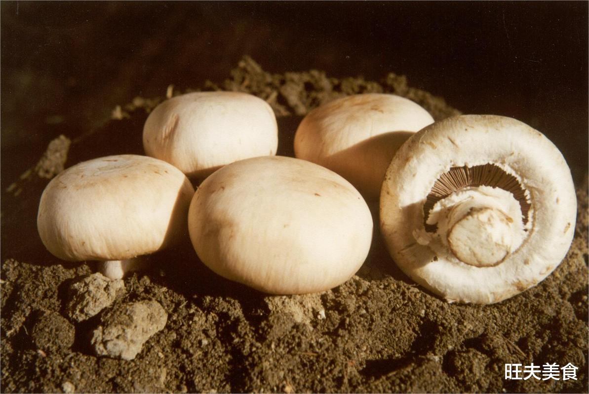 猪肉|天冷了，这菜再贵也要吃，比猪肉滋补，提高免疫力，不感冒更健康