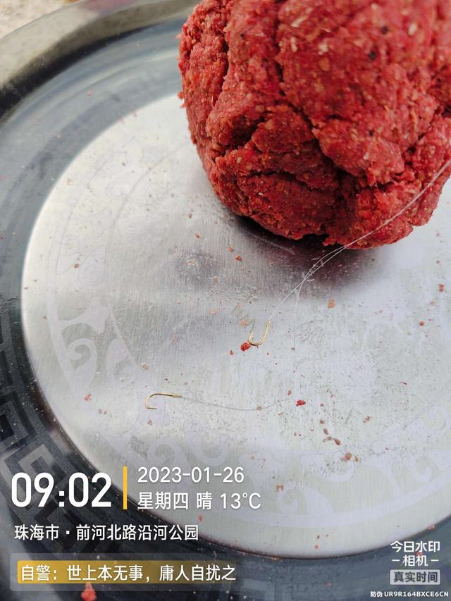 |退水浅中找深,上小钩却遇大鱼,欢乐惊喜一样都不缺