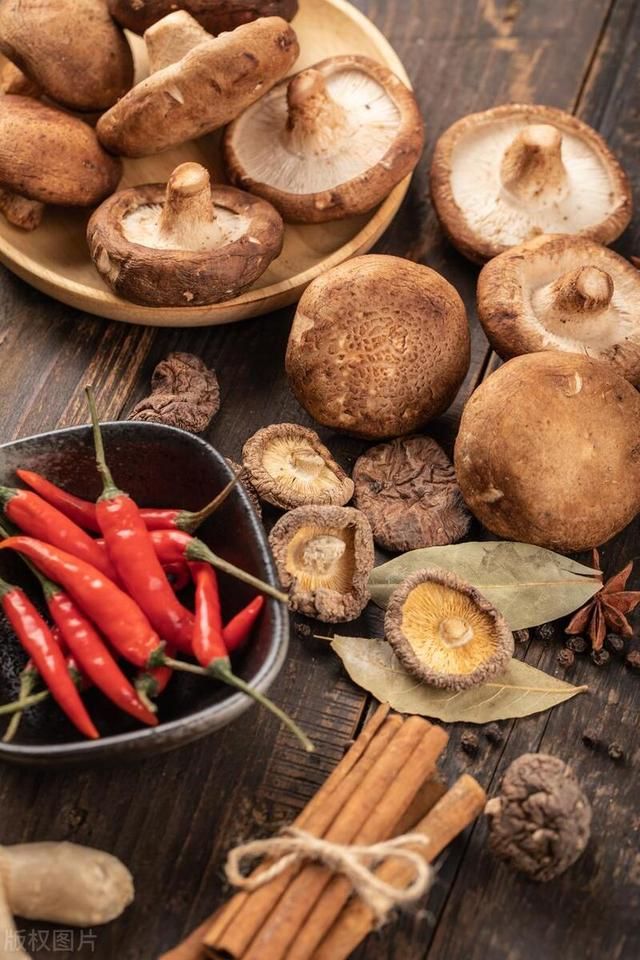 香菇|悲惨的香菇!养棚里的,是被打大的!长野外的,是被吓大的