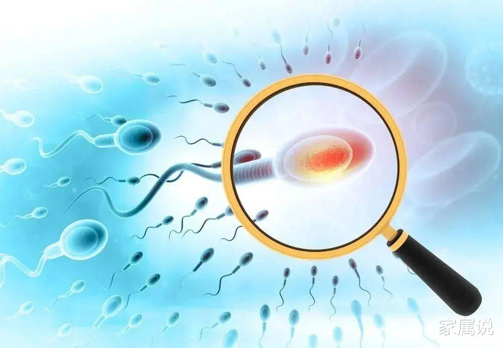 喝酒、玩手机、WiFi、不运动、久坐、熬夜会杀精?是谣言还是确有其事?