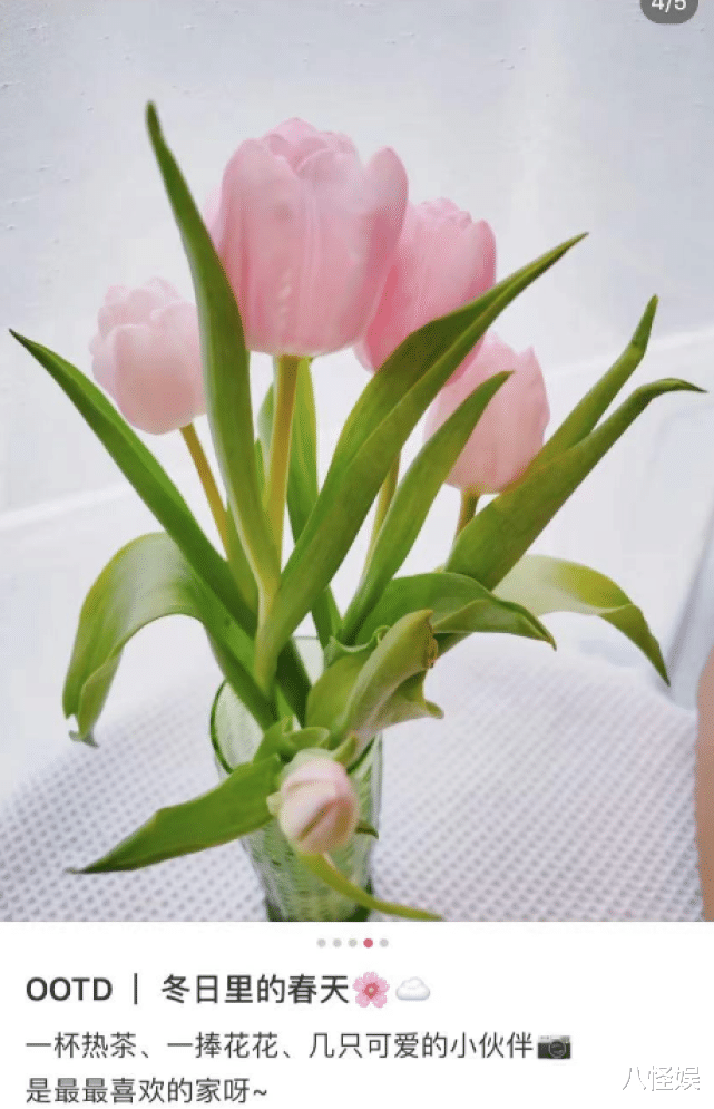 张梓琳|张梓琳新年首晒小女儿,一岁半Jocelyn露正脸像妈妈,身高好惹眼