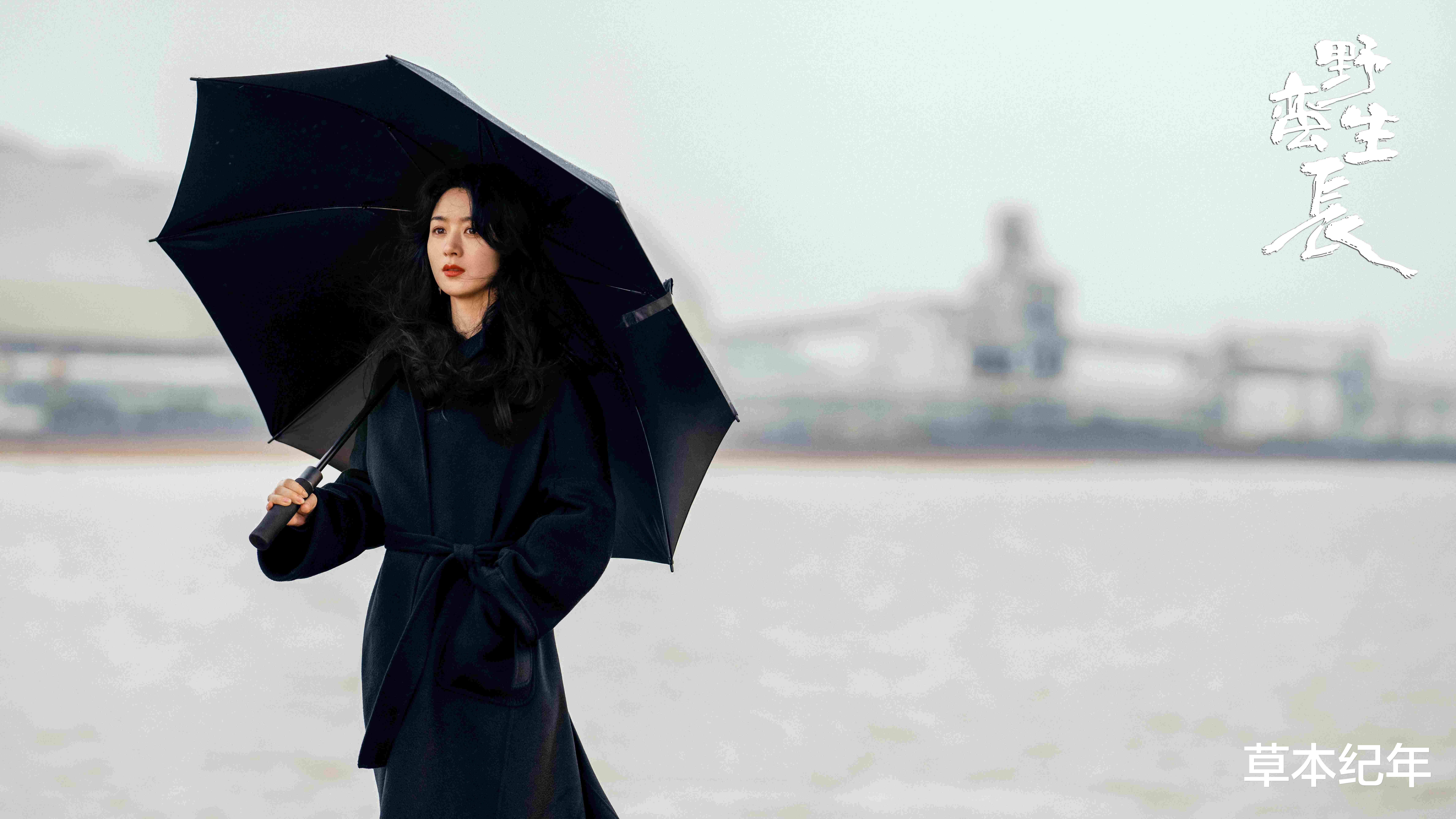 何鸿燊|明晚开播！36集武侠大剧来袭，王劲松领衔全员实力派，想不火都难