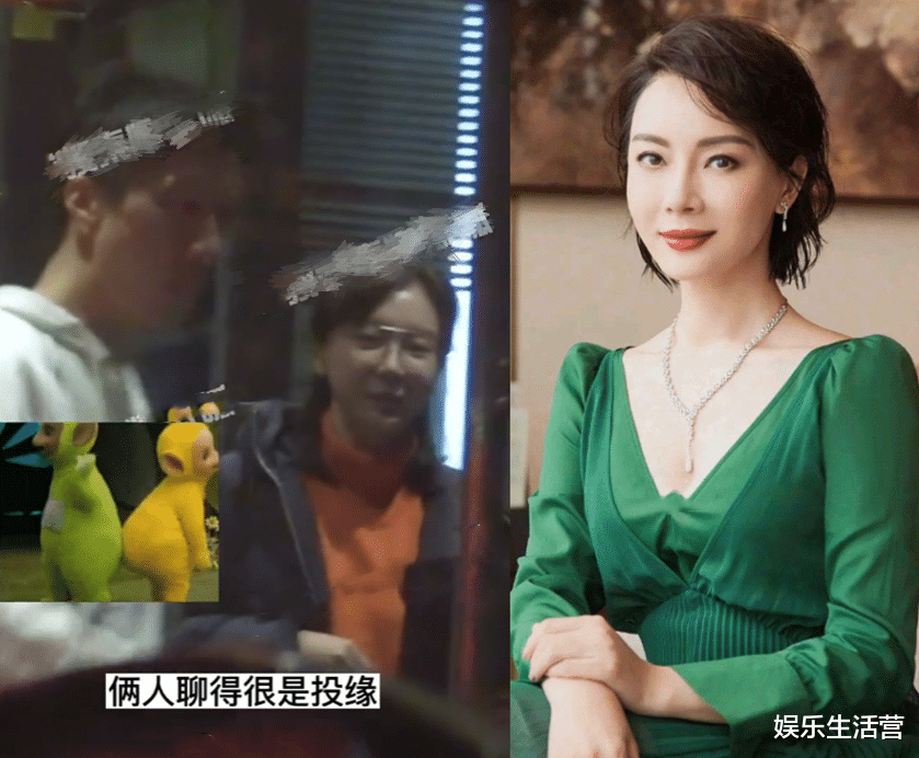 陈数|知名影后报复出轨老公!和神秘男热聊拥抱,嫁富商当继母12年不育