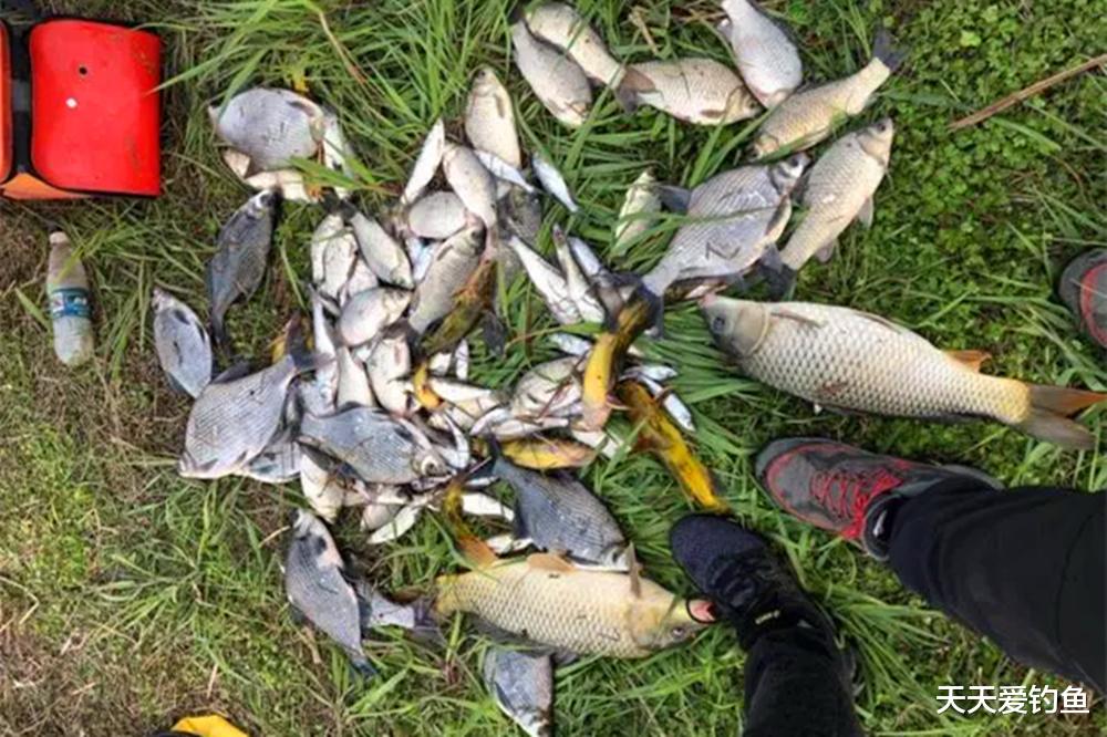 夏天野钓,3种位置全天“藏”大鱼,可钓白天也可夜钓