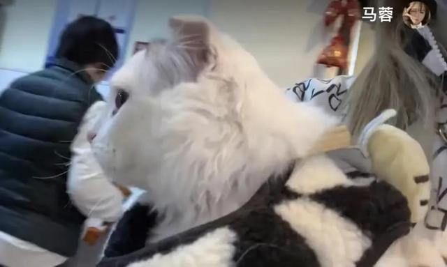 宋喆|马蓉和新欢订婚?带婚戒出镜,曾被曝探监宋喆,花上千万想移民