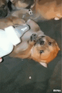 大门|“总经理办公室这样设计，要不要加厚隔音墙呢？”哈哈哈哈哈太有才了