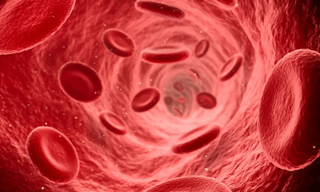 服用降糖药,不能吃橘子?这些\健康常识\到底对不对呢?一文讲明白