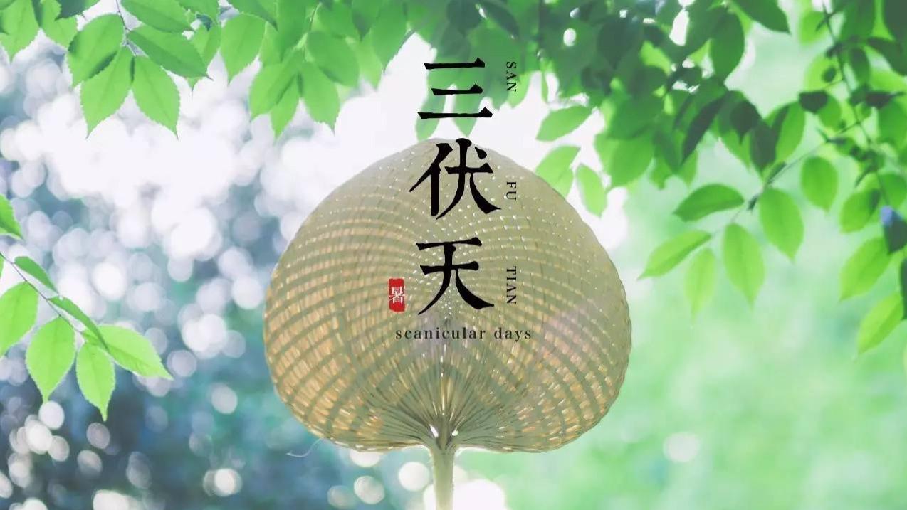 三伏天|三伏天在望，“1养2补”是关键，让你苦夏也不苦