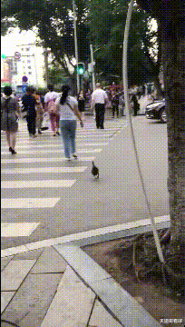 化妆 “在男友的眼里，你是什么样子？”