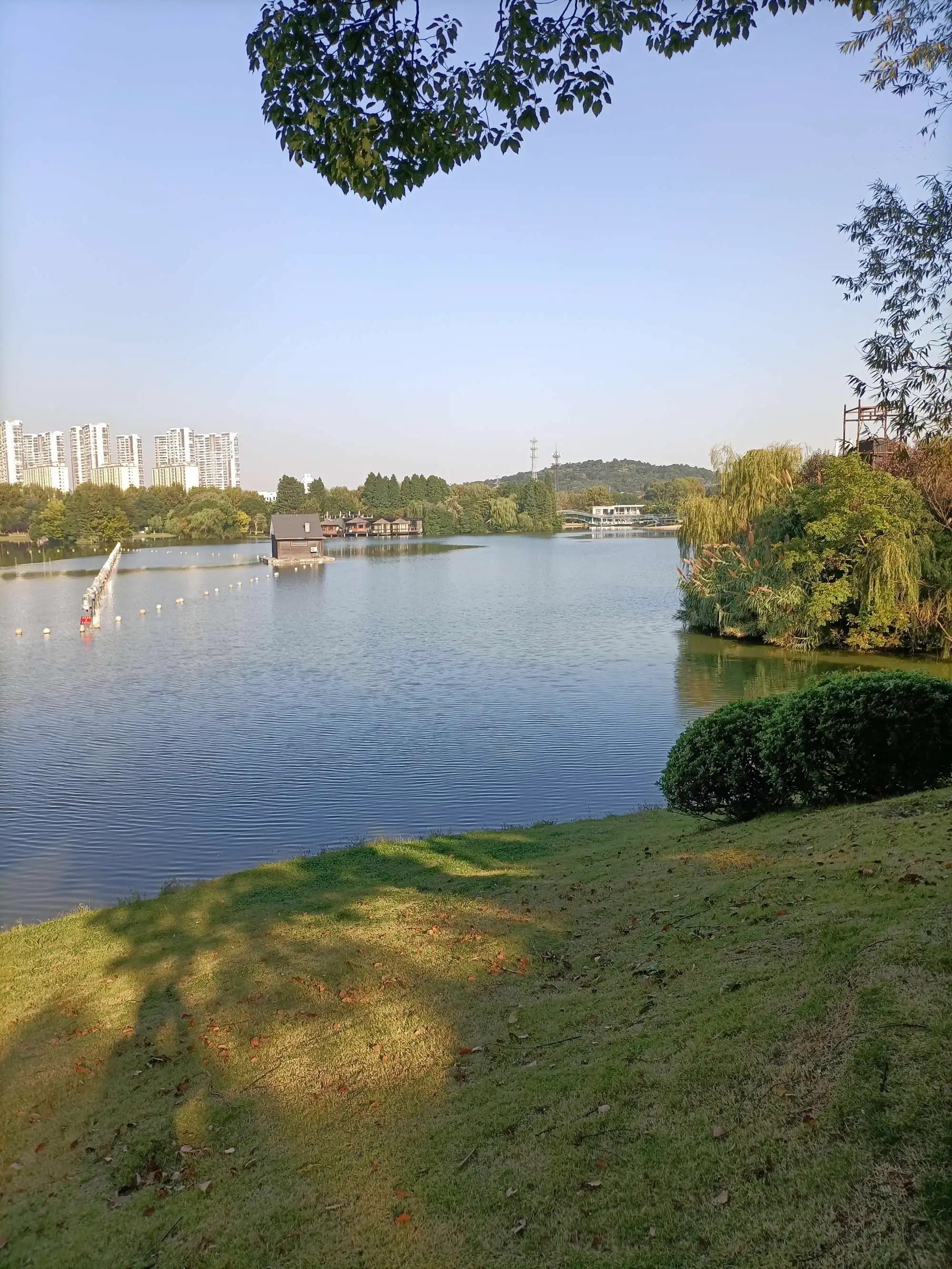 |江南,不缺乏美丽的风景