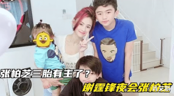 情史混乱三胎生父成谜,天生反骨遭前辈狂批,张柏芝都经历了什么