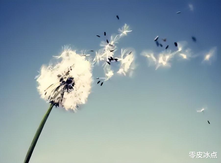 突传噩耗!网红“涛哥”去世,百辆豪车送行,曾与赵本山魏三交好