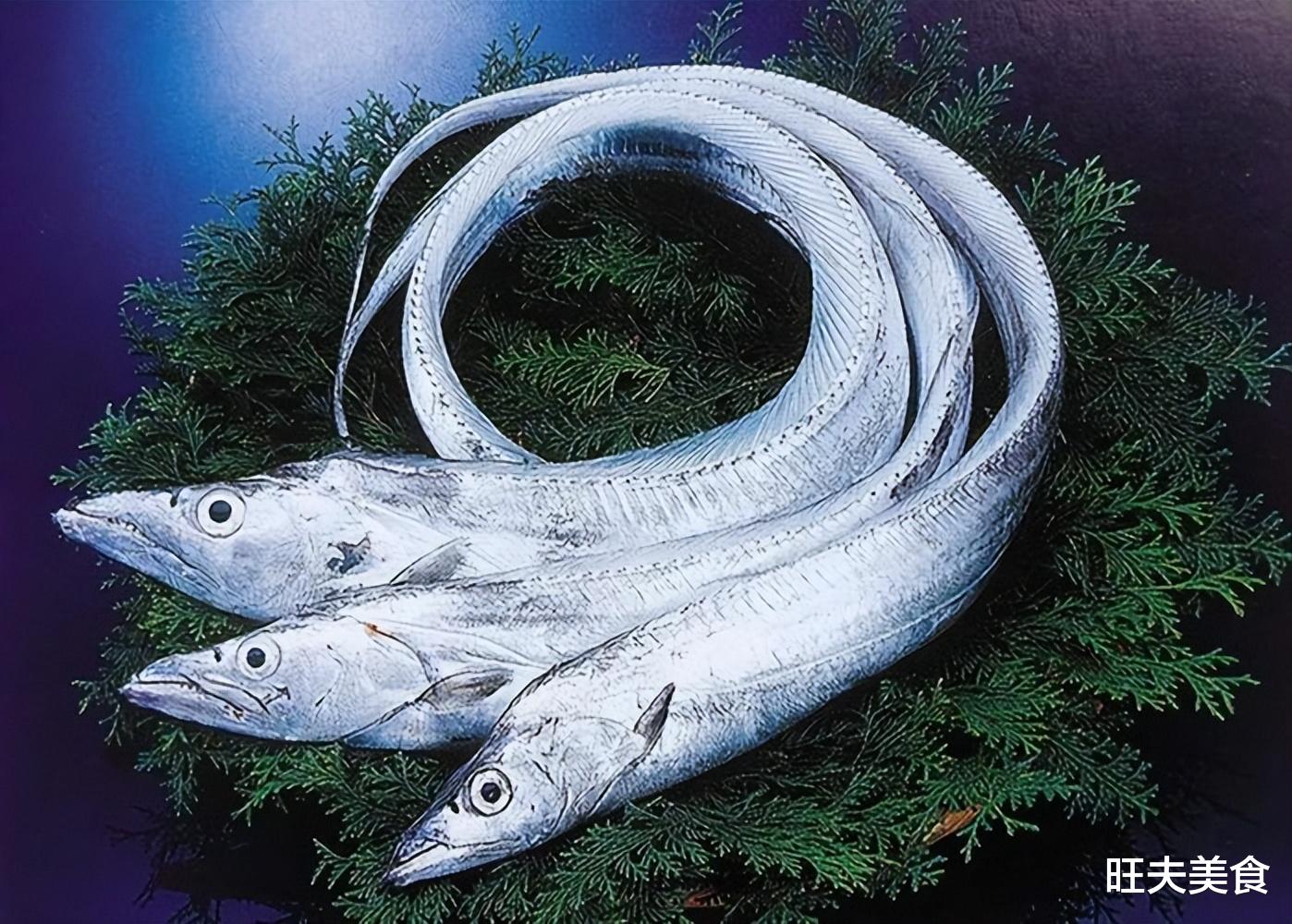 黄鳝|“入冬三分虚，冬补多吃鱼”，多吃这5种鱼，鲜嫩美味，润燥好过冬