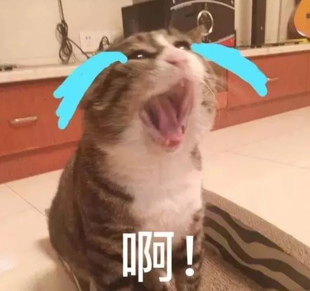 今日宜加油|《今日宜加油》:职场题材还能不能救一手,又该怎么救?