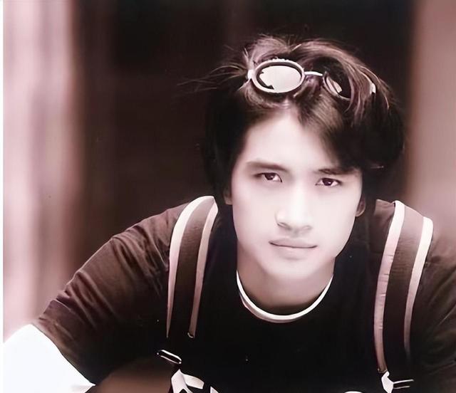 何晟铭历经坎坷半生，被富婆捧为天之骄子，57岁却只能端茶倒水！