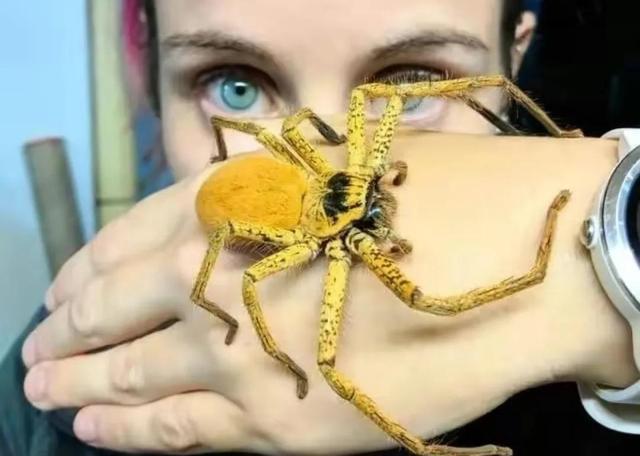 罕见的49张照片,天生丽质的斯嘉丽,产道放大1000倍的样子