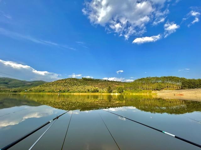 鲫鱼|野钓:鲫鱼的集中位置如何找？钓它需要注意什么？用什么饵钓？