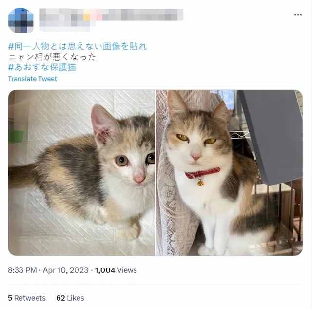 肌肤 震撼！日本大叔狂减61kg，12年后竟变成清纯美少女？