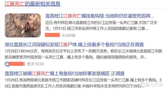 长江宜昌段江豚死亡，嘴巴上有鱼钩，这次钓鱼人“不背锅”