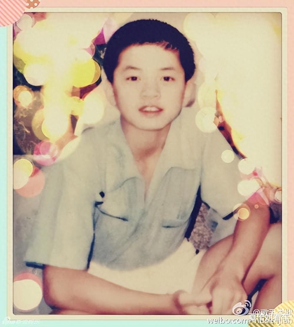 李健跌落神坛了?结婚21年不买房、坚持做丁克:不负责还是拎得清