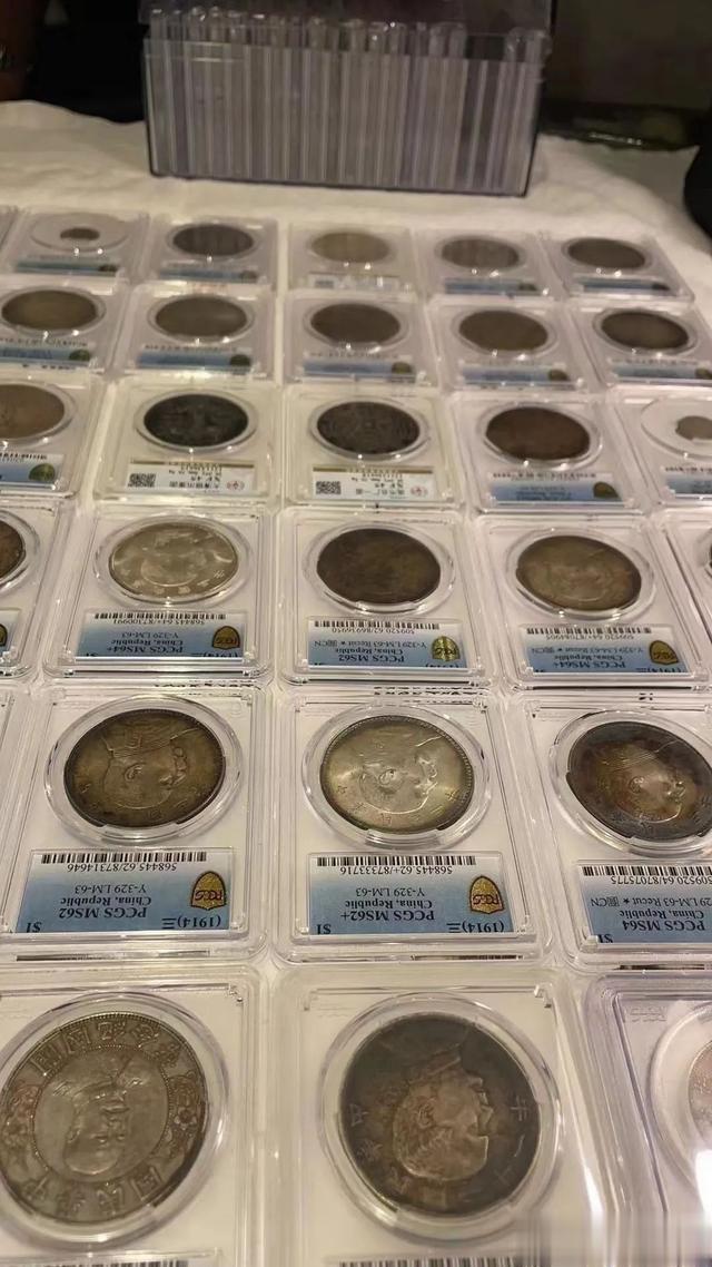 钱币|新人怎么玩钱币