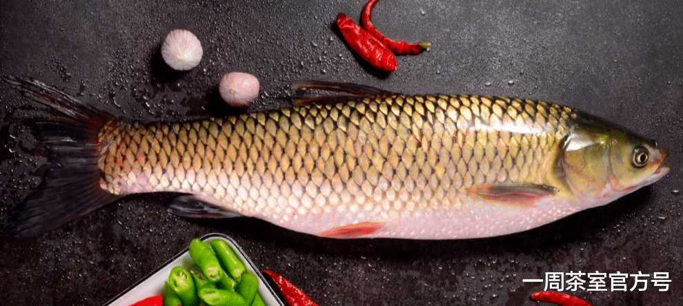 |比鸡鸭肉滋补，比牛羊肉便宜，冬天使劲吃，营养滋补，增强免疫力