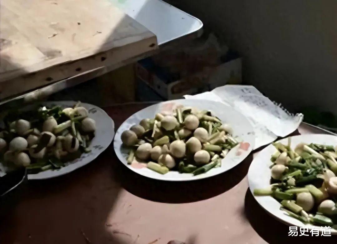 被男友泼滚烫热油,32岁女白领全身烧成炭脓烂流黑水只能绝望等死