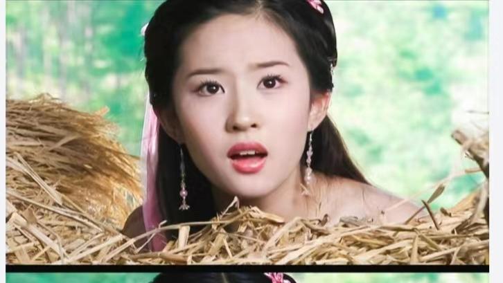 文咏珊|文咏珊: 我不信刘亦菲之后再也没有“王语嫣”