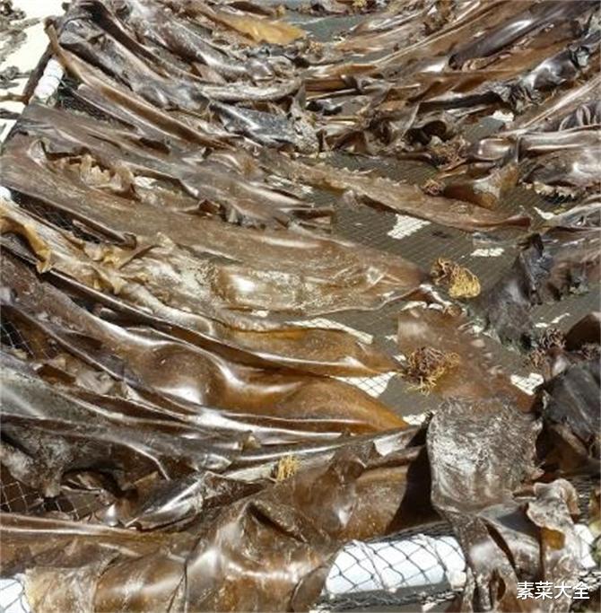 海帶|海帶哪里的產(chǎn)地最好？海帶有保質(zhì)期嗎？最長(zhǎng)可放多長(zhǎng)時(shí)間？