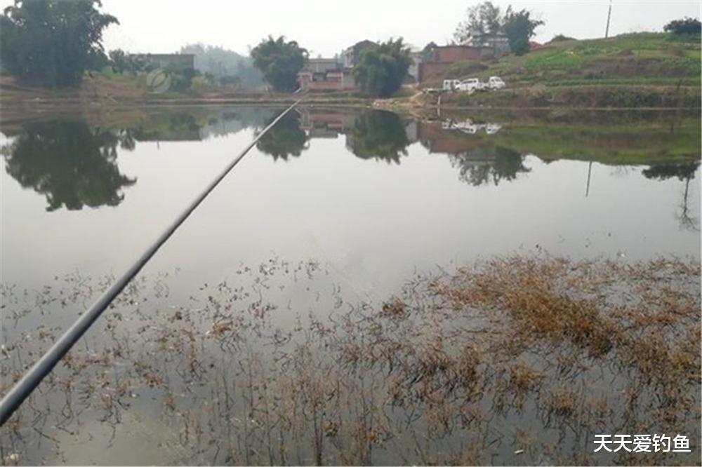 |寒冬野钓，出鱼位置排行榜，天冷别着急下竿，先找准鱼窝