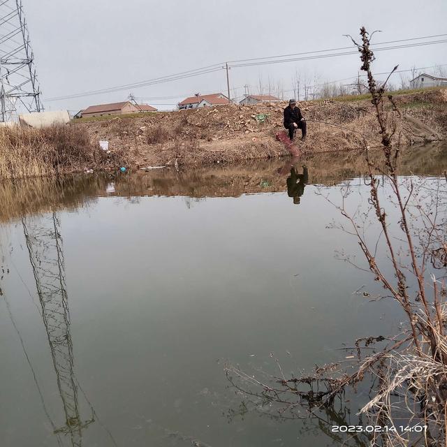 夜钓|打窝不费粮,分享一招试试看。