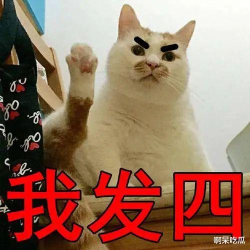 丑男配美女、个矮找模特，豪门改善基因套路满满，每步都在算计